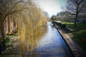 canal-east-800